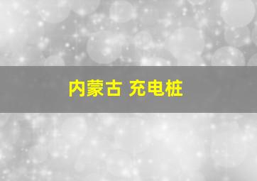 内蒙古 充电桩